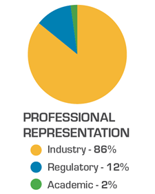 Image of a pie chart with text 'professional representation'
